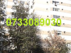 Drumul Taberei, Lovinescu